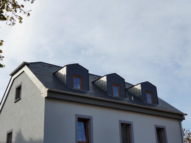 Image 6 : Toiture bâtiment à Haller : Toiture Teixeira