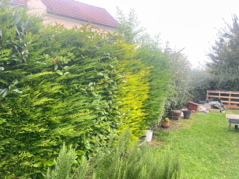 Image 8 : Travaux de toiture à Thil : Dauber Renov