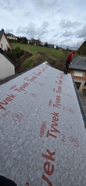 Image 15 : Toiture & couverture à Strassen : Toiture Seigler Luxembourg