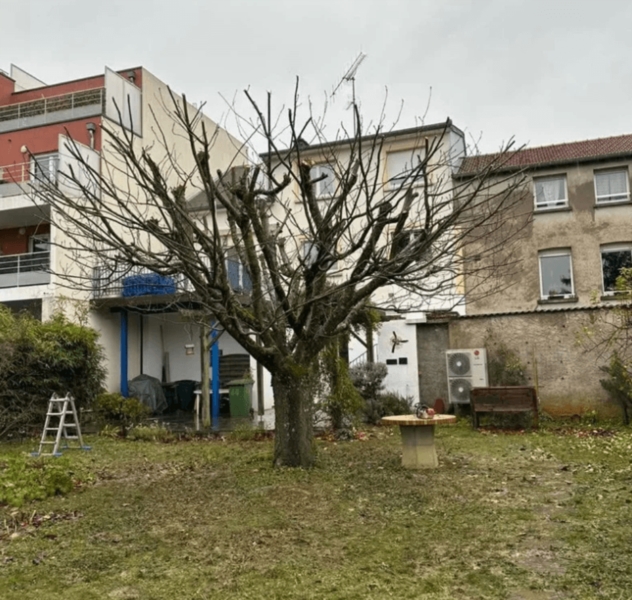 Image 7 : Aménagement paysager à Landres : Stelhy Paysage